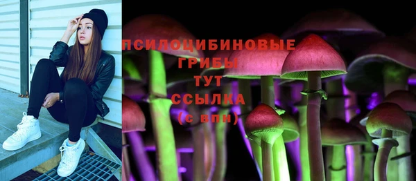 соль ск Горнозаводск