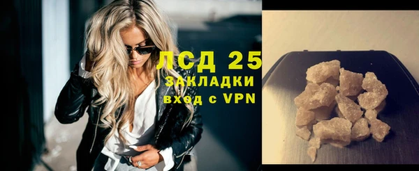 дживик Горняк
