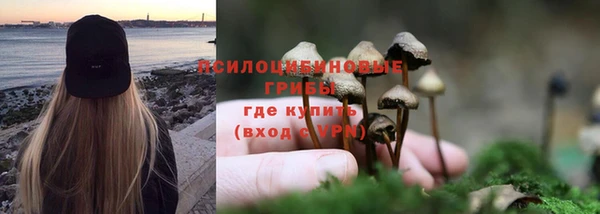 дживик Горняк