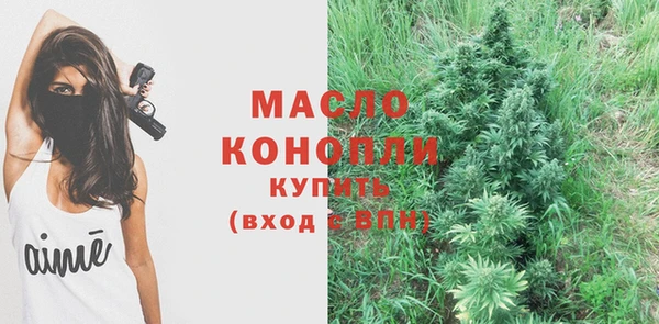 дживик Горняк
