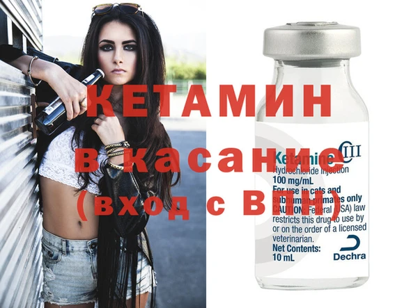 ПСИЛОЦИБИНОВЫЕ ГРИБЫ Горно-Алтайск