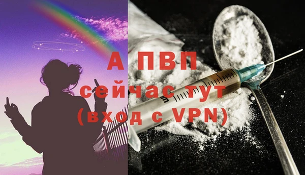 дживик Горняк
