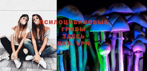 соль ск Горнозаводск