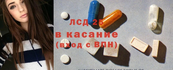 ПСИЛОЦИБИНОВЫЕ ГРИБЫ Горно-Алтайск