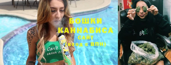 ПСИЛОЦИБИНОВЫЕ ГРИБЫ Горно-Алтайск