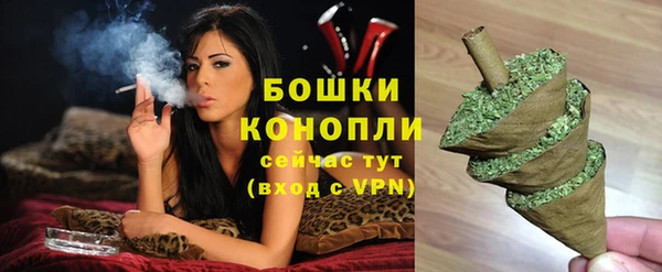 ПСИЛОЦИБИНОВЫЕ ГРИБЫ Горно-Алтайск